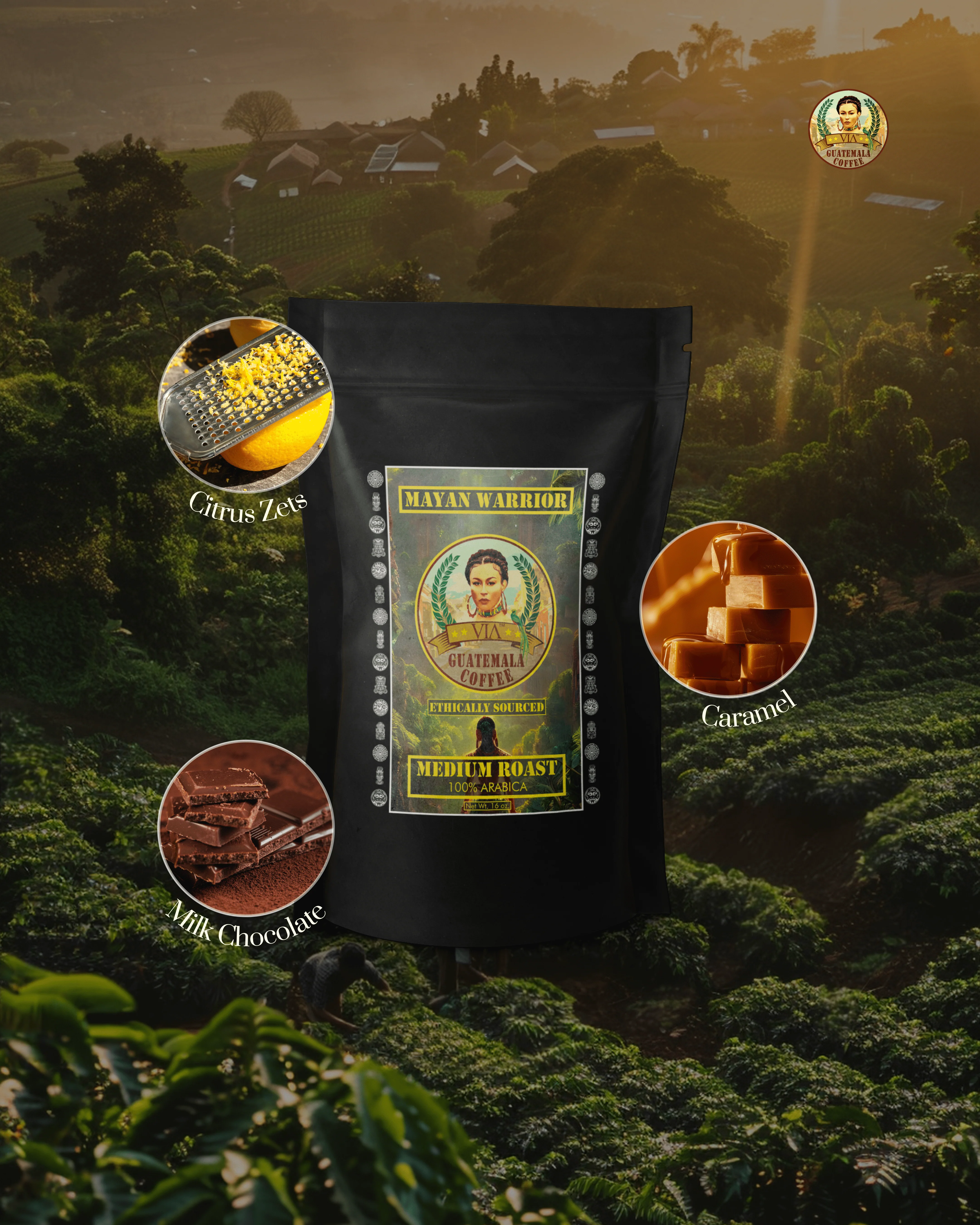 Mayan Warrior - Medium Roast Guatemala Coffee Arabica 2