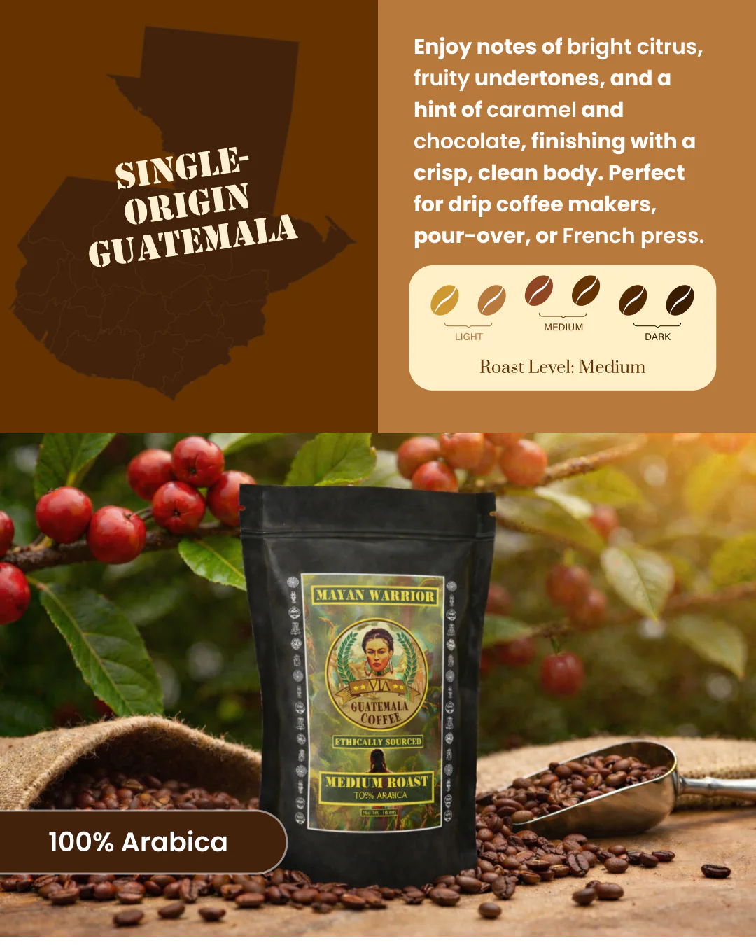 Mayan Warrior - Medium Roast Guatemala Coffee Arabica 3