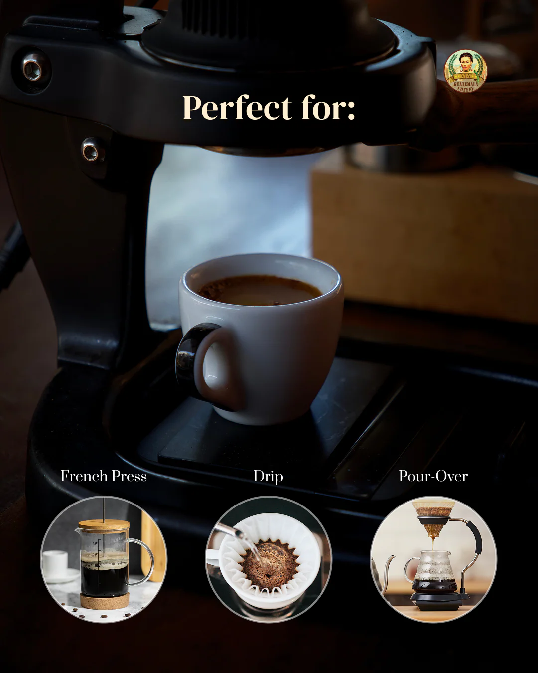 Mayan Warrior - Medium Roast Guatemala Coffee Arabica 4