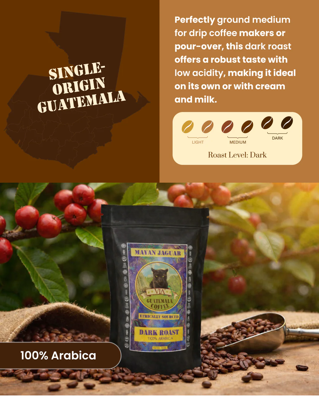 Mayan Jaguar - Dark Roast Guatemala Coffee Arabica 4