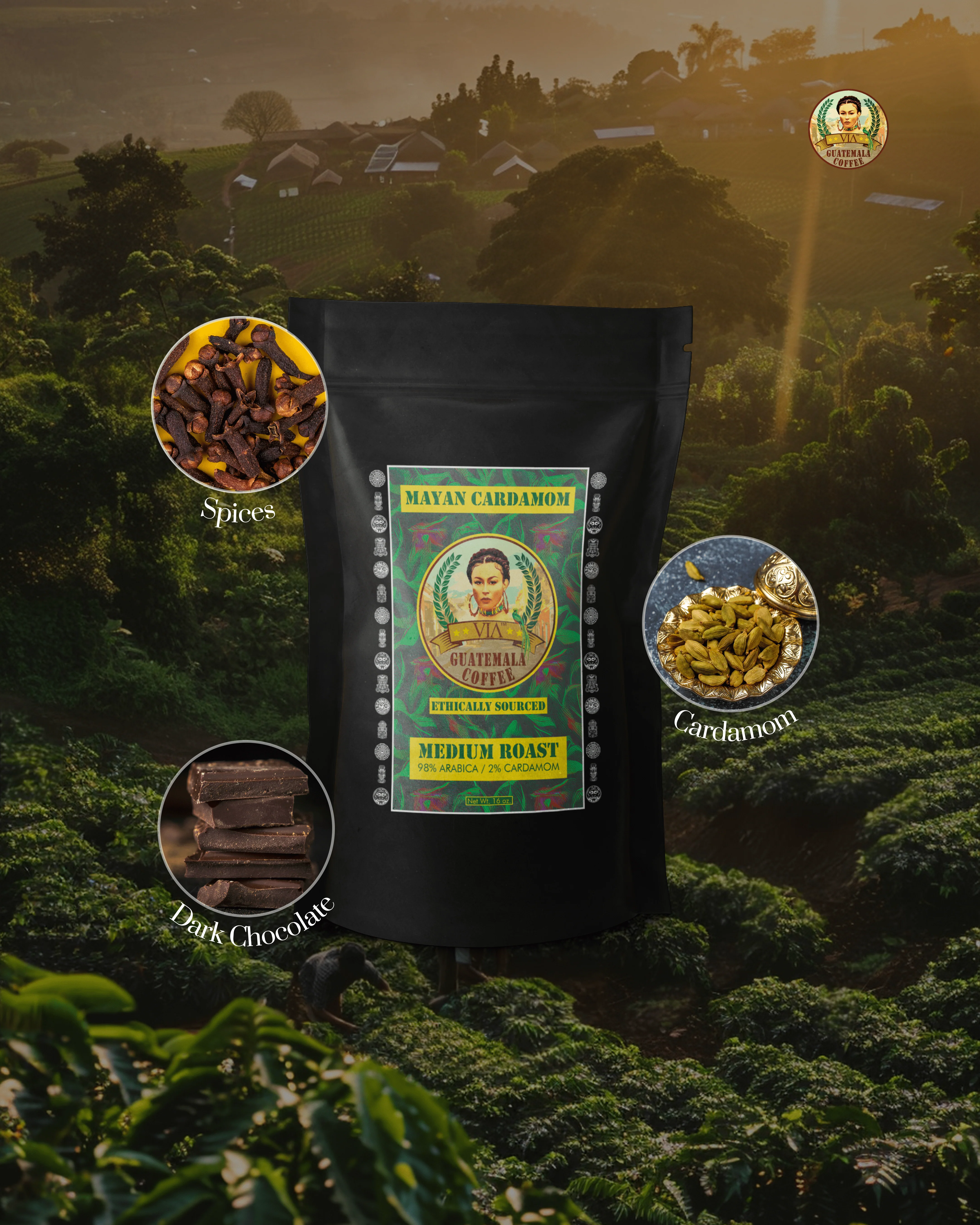 Mayan Cardamom - Medium Roast Guatemala Coffee Arabica 2