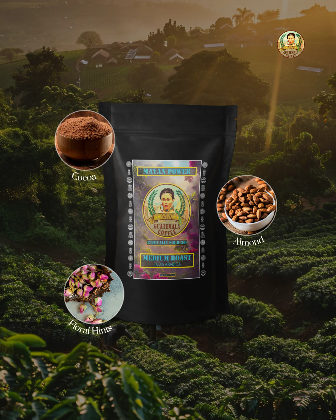 Mayan Power - Medium Roast Guatemala Coffee Arabica 2