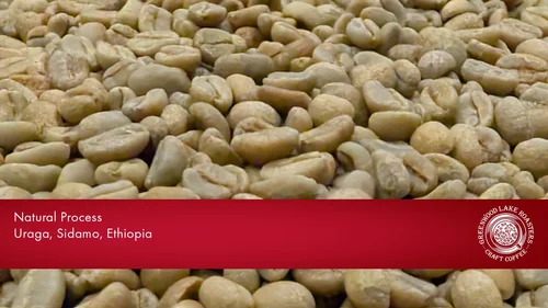 Ethiopian Sidamo Uraga Natural 2