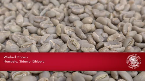 Ethiopian Sidamo Hambella Washed 2