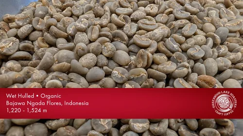 Komodo Dragon Organic 2