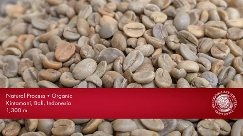 Bali Kintamani - Microlot 2