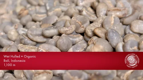 Bali Blue Moon Organic 2