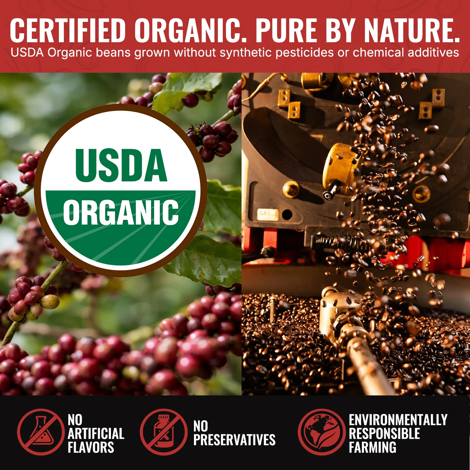 Signature K-Cups (Dark Roast Blend) 5