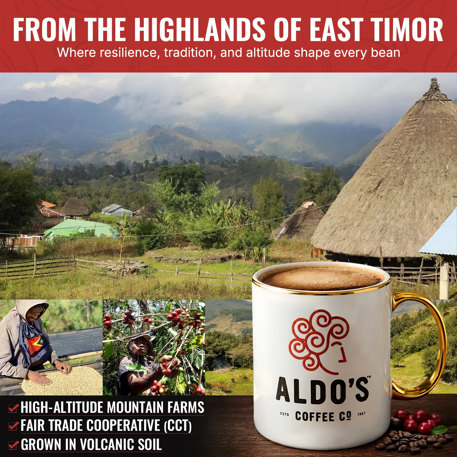 Decaf Blend (Dark Roast) 5