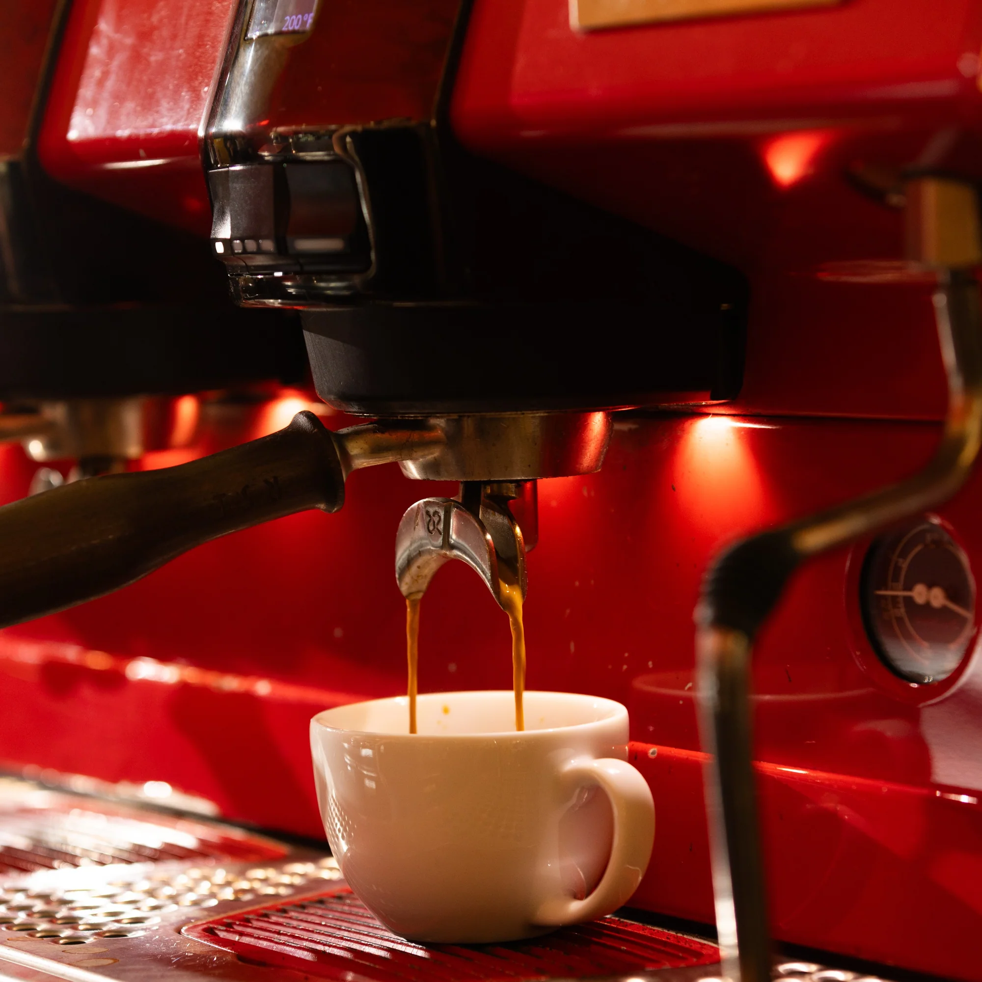 Earthy & Seductive Coffee Blend (Dark Roast) 3