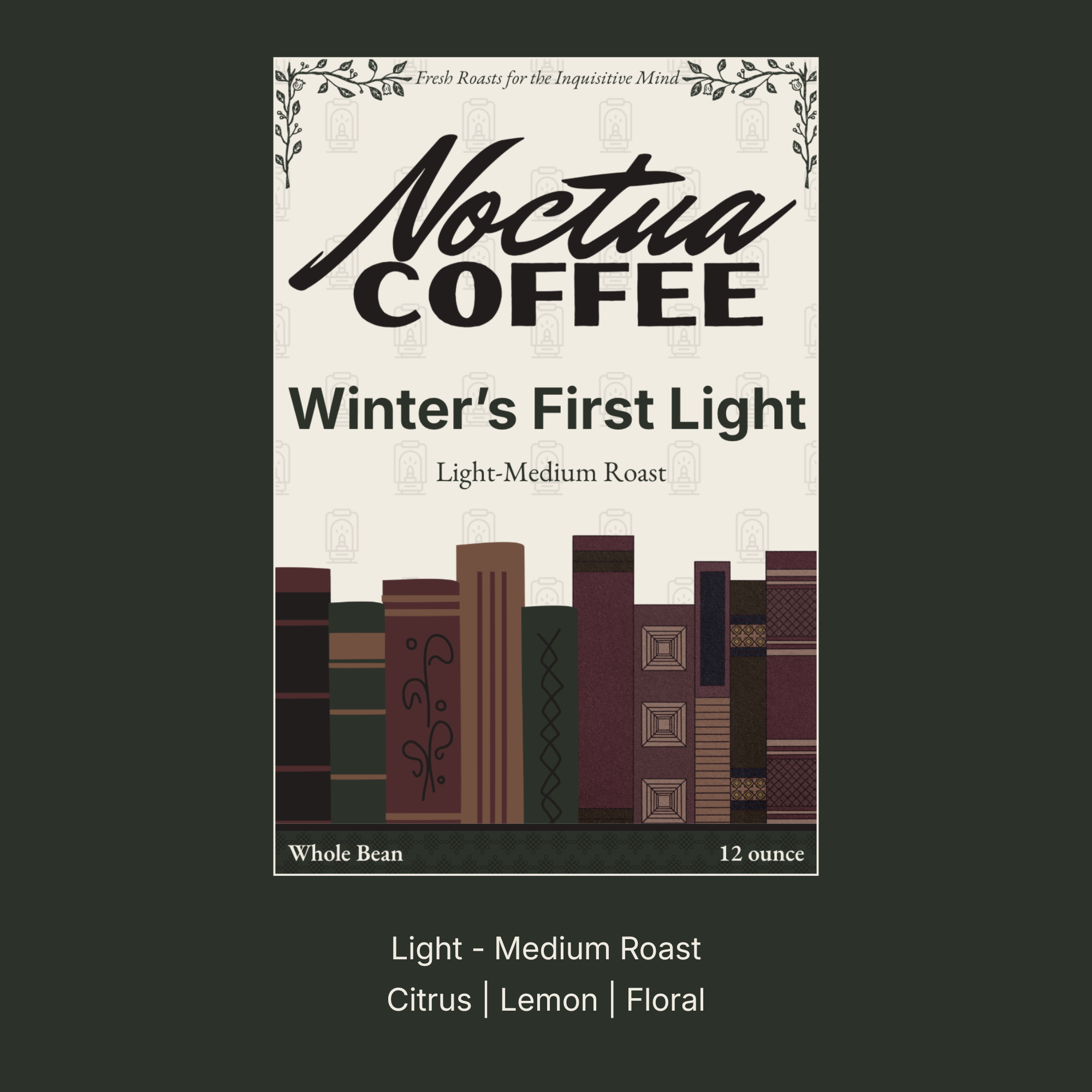 Winter's First Light