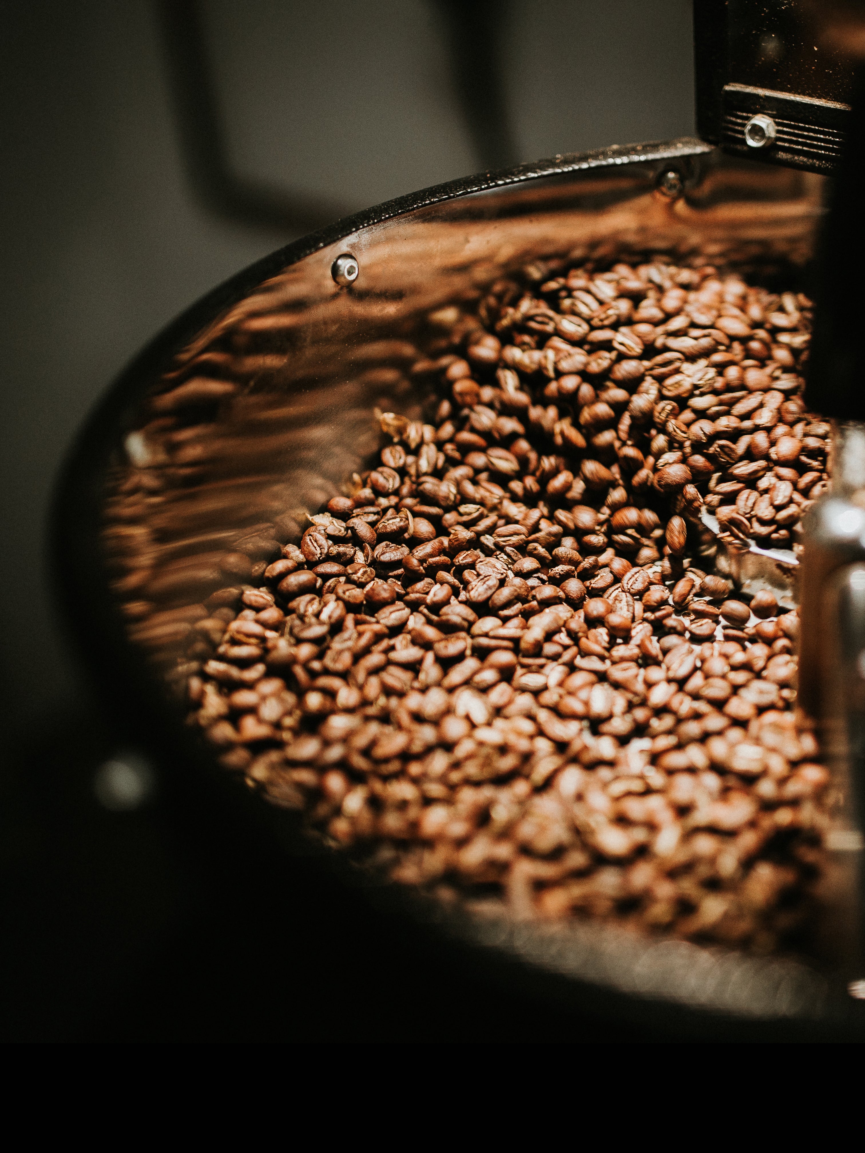 Kenya AA Coffee - 1 lb (16 oz) Medium roast from TM Ward Coffee