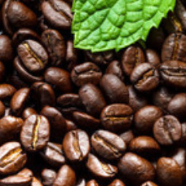 Buzz - Double Caffeine in the Bean - 1 lb (16 oz) Medium roast from TM Ward Coffee
